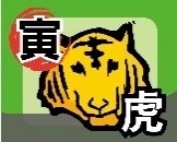 寅.jpg