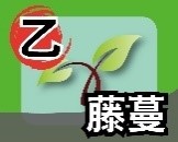 乙.jpg
