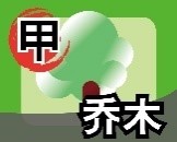 甲.jpg